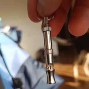 Obdržel jsem píšťalku na výcvik psů od zákazníka N****s.