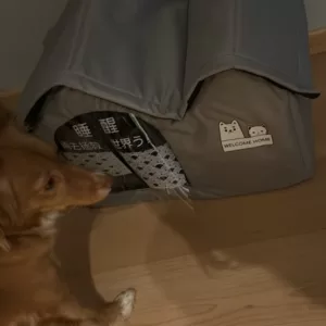 Dostal klimatizovaný psí domek od zákaznice L***a