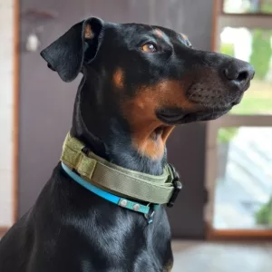 Obojek pro taktické výcvikové psy s kovovou sponou od zákazníka D****e.