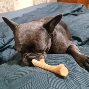 Dřevěná žvýkací tyčinka ve tvaru paroží od zákazníka B***n.