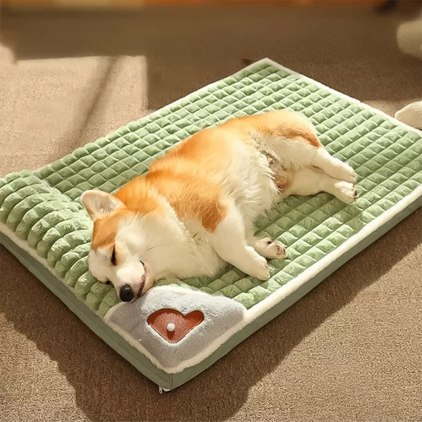 orthopaedic dog bed, dog bed with headrest