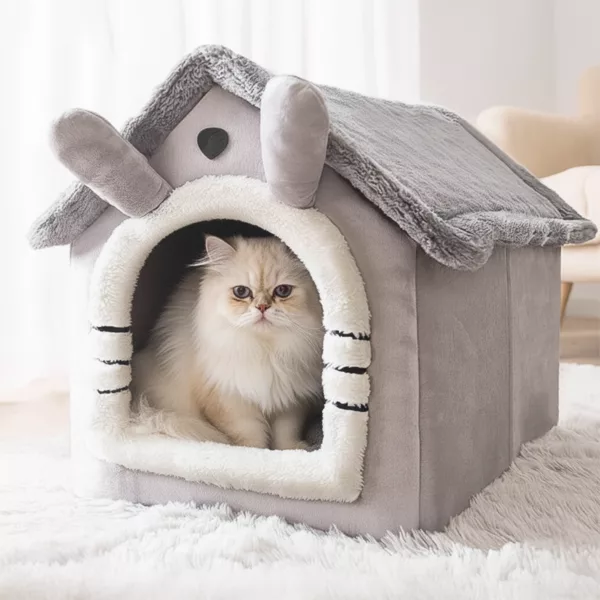 cat house, folding cat house