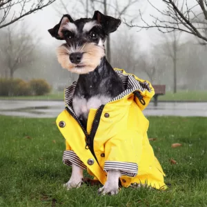 dog raincoat, waterproof dog jacket, waterproof dog raincoat, waterproof dog coat, dog rain jacket