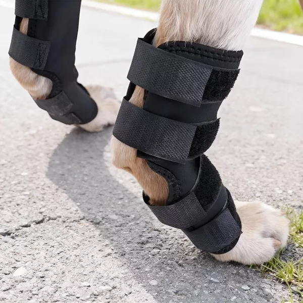 dog leg brace, dog knee brace, dog hock brace, dog knee support, dog leg wrap