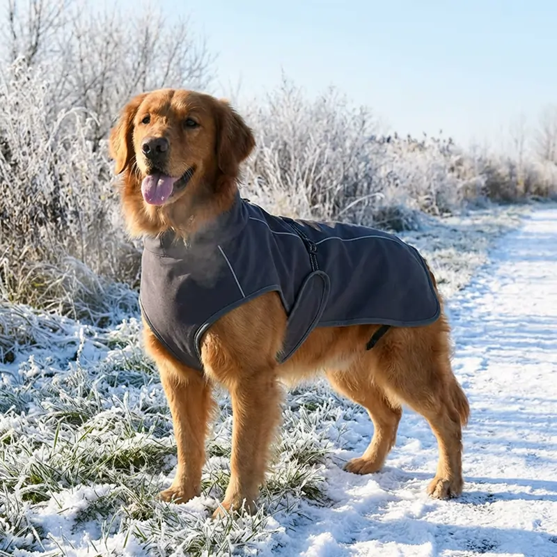 waterproof dog jacket, cotton dog jacket, reflective dog jacket, waterproof dog coat