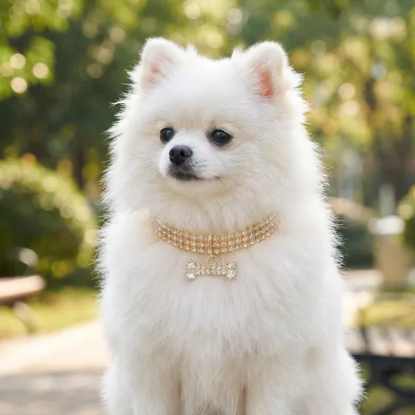 dog necklace, dog rhinestone collar , dog rhinestone necklace, dog necklace collar