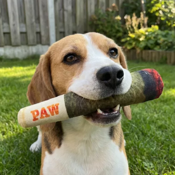 cigarette toy for dogs